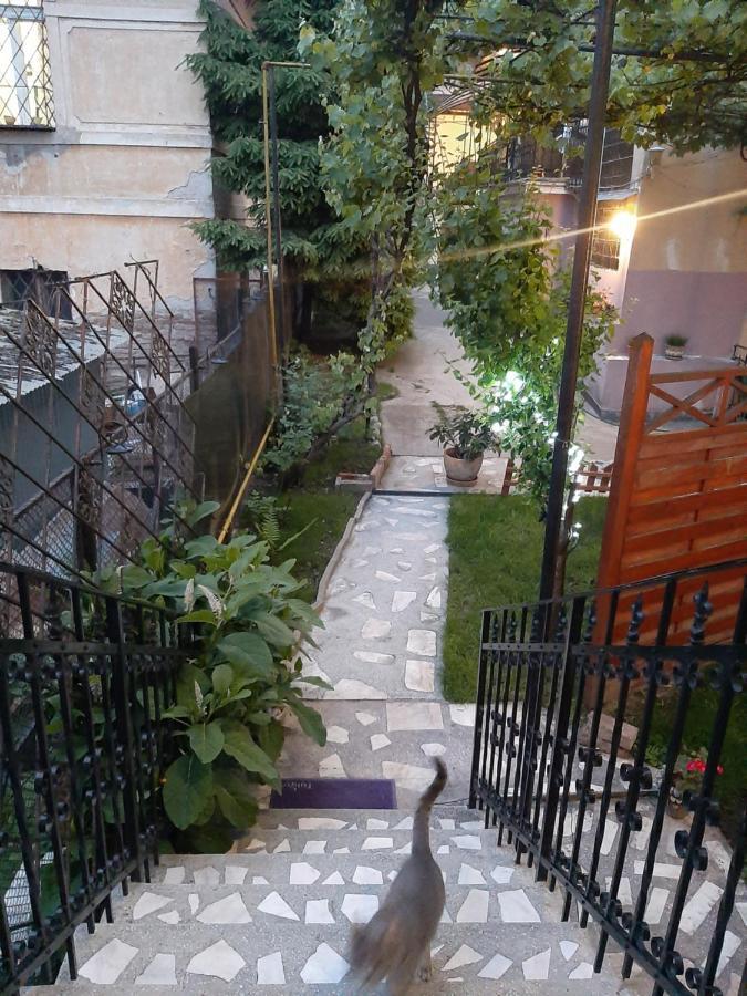 Piccola Italia Casa Racovita Cluj Napoca Bagian luar foto